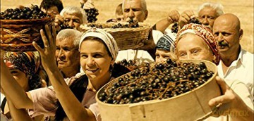 Les Raisins de l'espoir