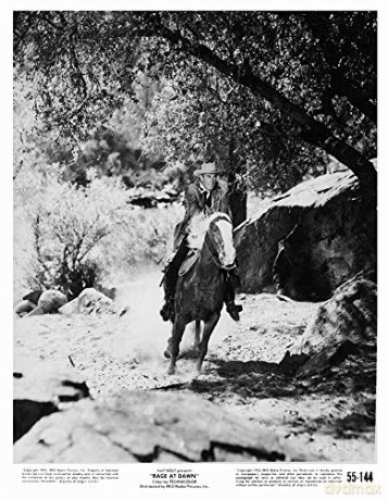 Les Rodeurs de l'aube