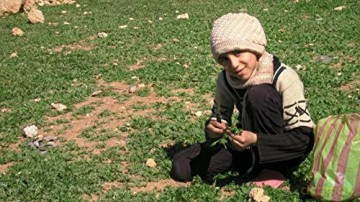 Little Palestine, Journal d'un siege