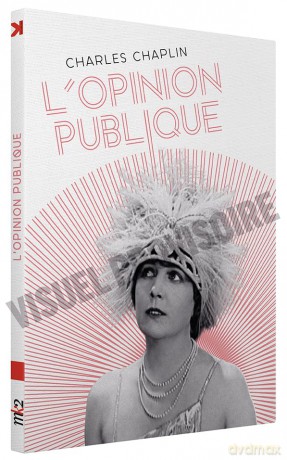 L'Opinion publique