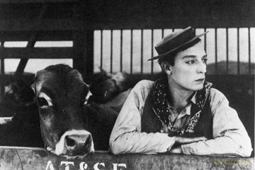 Ma Vache et Moi