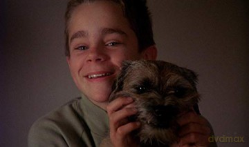 My Life as a Dog (Moje pieskie życie) [DVD]