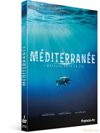 Méditerranée, l'odyssée pour la vie