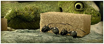 Minuscule, la vallée des fourmis perdues (Combo)