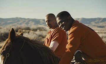 The Mustang (Mustang) [Blu-Ray]