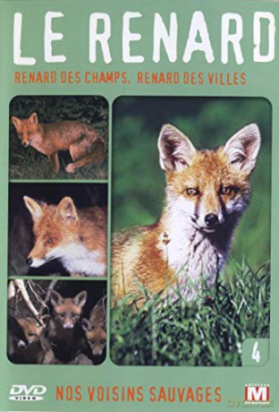 Nos voisins Sauvages Vol. 4 Champs, Renard des Villes