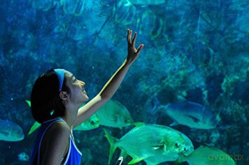 Ocean Heaven [Blu-Ray]