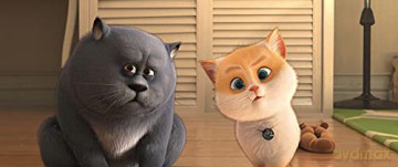 Cats (Sekretny świat kotów) [DVD]
