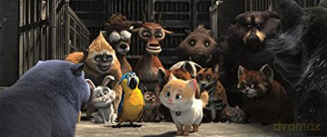 Cats (Sekretny świat kotów) [DVD]