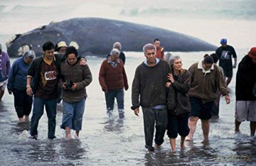 Whale Rider (Jeździec wielorybów) [Blu-Ray]+[DVD]