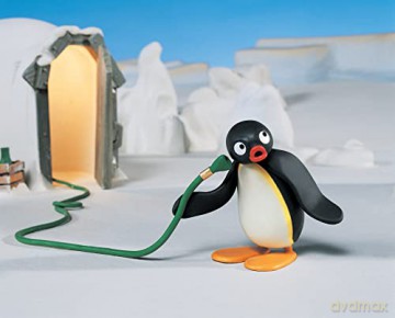 Pingu