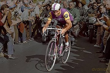 Poulidor 1er