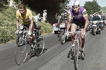 Poulidor 1er