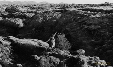 The Juniper Tree [Blu-Ray]