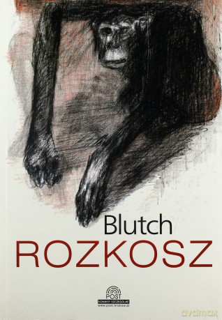 Rozkosz - Blutch [KSIĄŻKA]