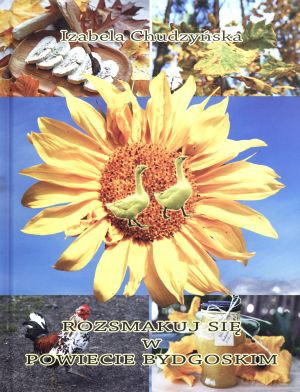 Rozsmakuj się w powiecie bydgoskim - Izabela Chudzyńska [KSIĄŻKA]