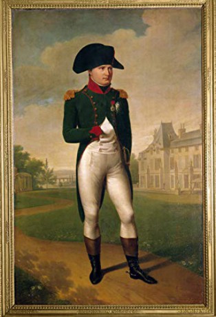Secrets d'Histoire-La Dynastie napoléonienne