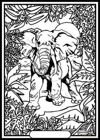 SERICOLOR L'ELEPHANT