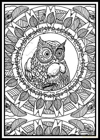 Sericolor Mandala Chouette