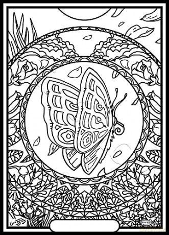Sericolor Mandala Papillon
