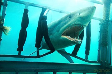 Shark Night (Noc rekinów 3D) [Blu-Ray]