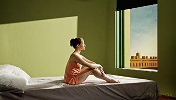 Shirley: Visions of Reality (Shirley - wizje rzeczywistości) [Blu-Ray]