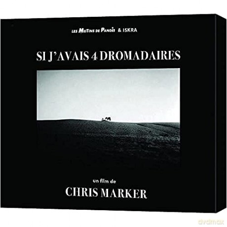Si J'avais 4 dromadaires (1)