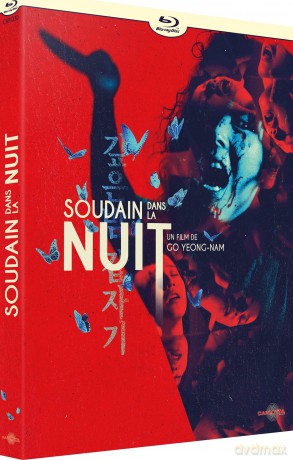 Suddenly in the Dark (Gdzieś w środku nocy) [Blu-Ray]