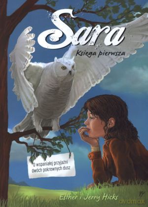 Sara. Księga pierwsza - Esther Hicks, Jerry Hicks [KSIĄŻKA]