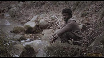 The Last of Us