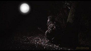 The Last of Us