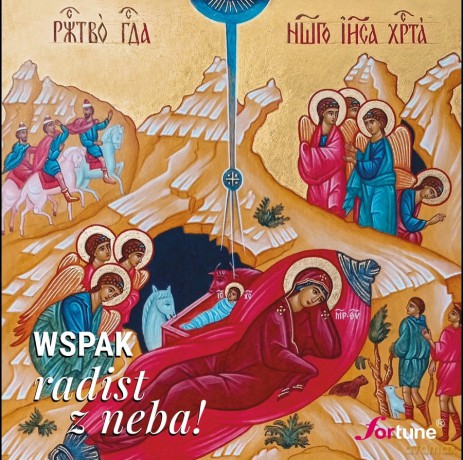 Wspak: Radist z neba! [CD]
