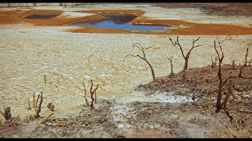 Walkabout [Blu-Ray]+[DVD]