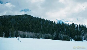 Wind River (Wind River. Na przeklętej ziemi) [Blu-Ray]