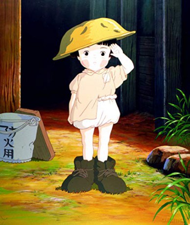 Grave of the Fireflies (Grobowiec świetlików) (steelbook) [Blu-Ray]+[DVD]