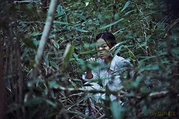 The Wailing (Lament) [Blu-Ray]