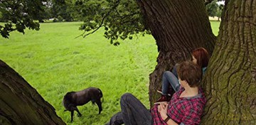 Ostwind (Wicher) [Blu-Ray]