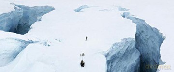 Amundsen [DVD]