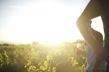 Wine Calling-Le vin se leve