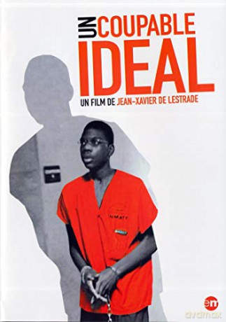 Un Coupable idéal