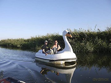 Swandown