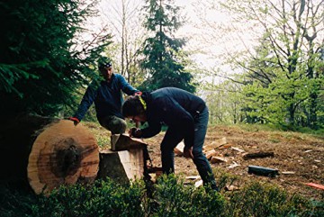 La symphonie des arbres