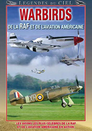 Warbirds (Starcie w przestworzach) [DVD]