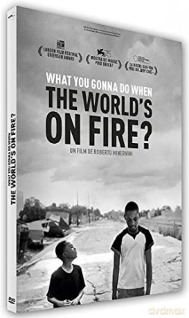 What You Gonna Do When The World's on Fire