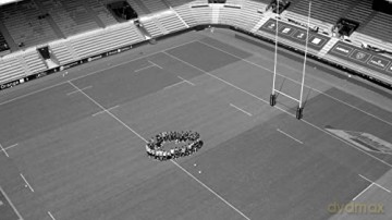 Le Stade