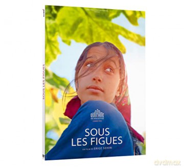 Sous les figues