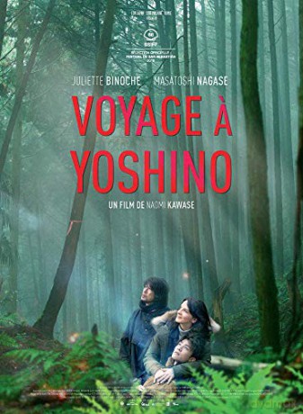 Vision (Wizja) [DVD]