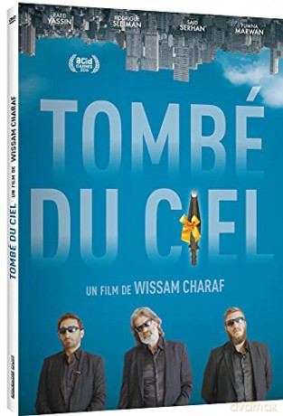 Tombé du Ciel