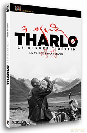Tharlo, Le Berger tibetain