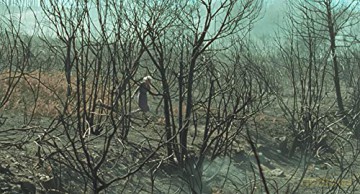 Fire Will Come (Siła ognia) [DVD]